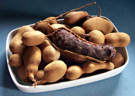 What-is-Tamarind